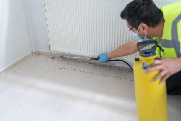Best Pest Control Treatment  in Lees Summit, MO